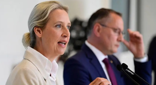 Almanya için kritik dönemeç: Aşırı sağcı AfD'nin yükselişine 'çare' aranıyor