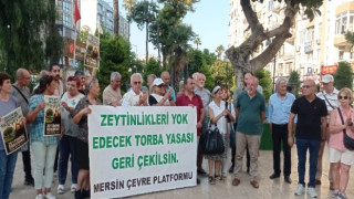 ÇEVRE PLATFORMU ZEYTİNLİKLER İÇİN HAREKETE GEÇTİ