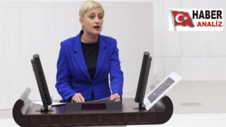 Perihan Koca: 10.yargı paketinde infazda eşitlik yok!