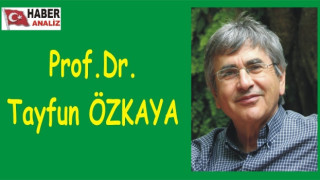 PROF.DR. TAYFUN ÖZKAYA UYARDI: ZEYTİNLİKLER YOK OLMADAN!!!