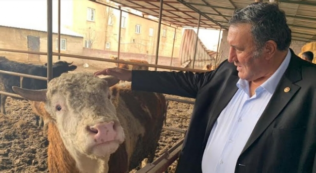 Yem fiyatlarındaki artış hayvancılığı tehdit ediyor