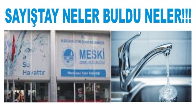 BAKIN SAYIŞTAY 2020 YILINDA MESKİ”DE NELER BULDU