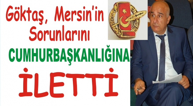 GÖKTAŞ, MERSİN'İN SORUNLARINI CUMHURBAŞKANLIĞINA İLETTİ