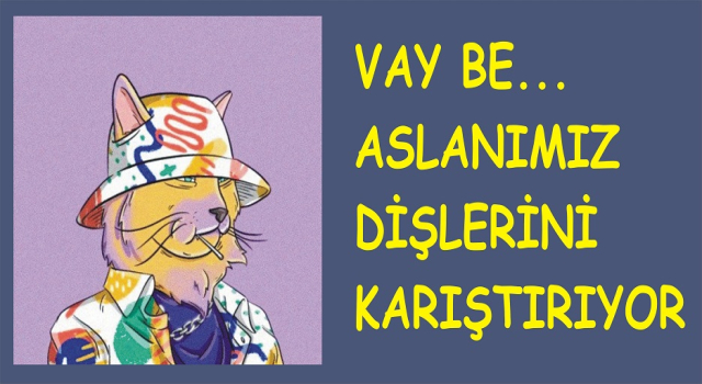MBB DEKİ, DEFİNEYİ DEFNE BULMUŞ….