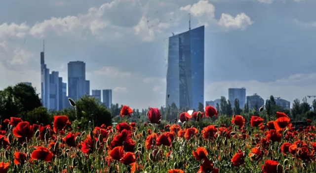 Tarife belirsizliği sürerken Euro Bölgesi'nde işsizlik oranı artış gösterdi