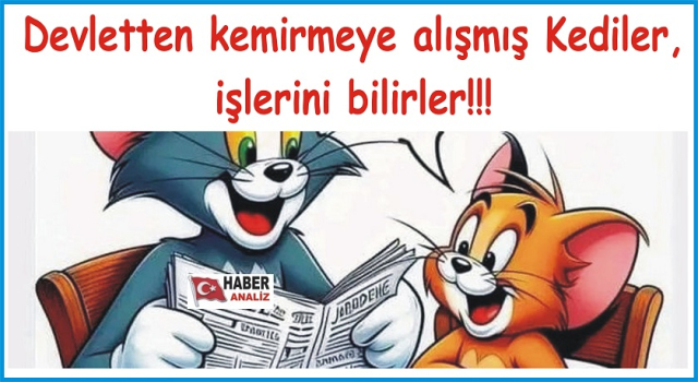 SAYIŞTAY SİZİ UYARMAKTAN BIKTI, SİZ KAMU MALINA “SAHİP ÇIKMAMAKTAN” BIKMADINIZ!!!