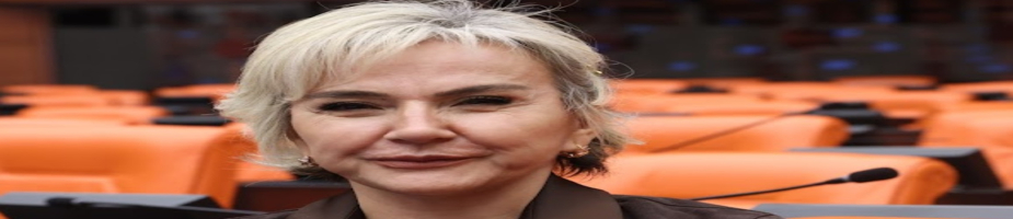 Özdemir, Tartışmalı Su Kirliliği Yönetmeliği Değişikliğini Meclis’e Taşıdı