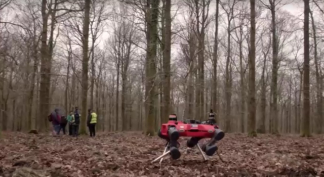 Robot köpek ormanlarda görevde