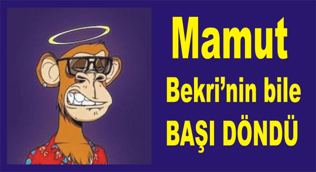 BELEDİYELERİN DOĞRUDAN TEMİNLERİ ŞAŞIRTIYOR