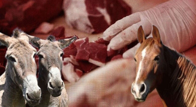 Ünlü markanın sucuğunda skandal tespit: At ve eşek eti çıktı