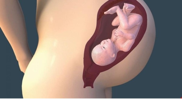 8 soruda yasadışı yumurta satışı: Yöntem riskli mi, mavi gözlü bebek siparişi mümkün mü?
