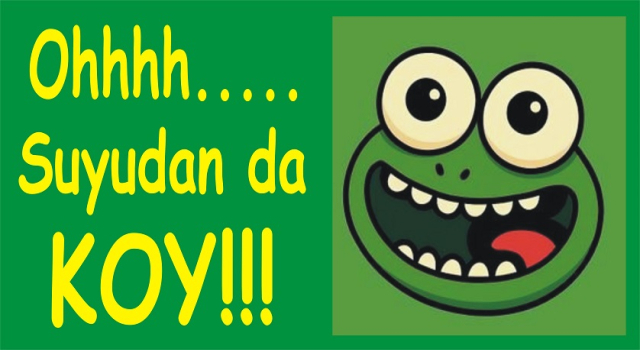 SEN TARSUS’A BAK HELE!