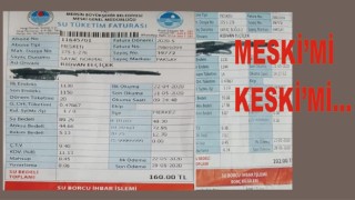 MERSİN'Lİ ÇILDIRMAK ÜZERE: AYNI EV AYNI SAYAÇ