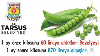 TARSUS’DA BİR BEZELYE HİKÂYESİ
