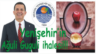 YENİŞEHİR’İN REVİZYONU’NA NE OLDU?