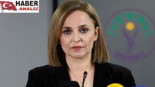 Doğan: Cumhurbaşkanı Erdoğan'a talepler listesi sunulmadı