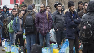 Hollanda'da iltica kabul oranı düştü
