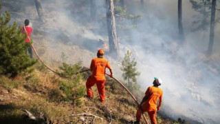 Bakan Yumaklı: Orman yangınları 7 noktada kontrol altına alındı, 3 bölgede mücadele sürüyor