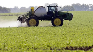 Fransızlar çiftçilerin kullanımına izin verilen pestisite karşı ayakta