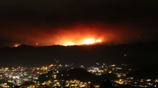 Mersin ve Hatay'da orman yangınları: Yaklaşık 3 bin kişi tahliye edildi