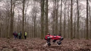 Robot köpek ormanlarda görevde