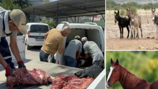 Et ve eşek eti skandalı yine aynı ilden çıktı