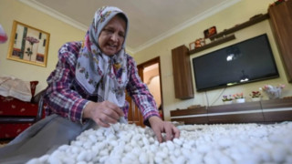 Devletten aldığı destekle hobisini gelir kapısına dönüştürdü! ‘Devlet yumurtasını gönderiyor biz sadece bakıyoruz'