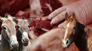 Ünlü markanın sucuğunda skandal tespit: At ve eşek eti çıktı