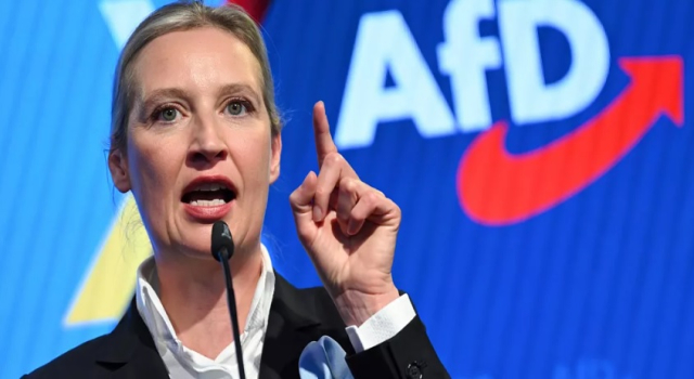 Alman istihbaratı AfD'yi 'sağcı aşırılık yanlısı oluşum' olarak sınıflandırmasını askıya aldı