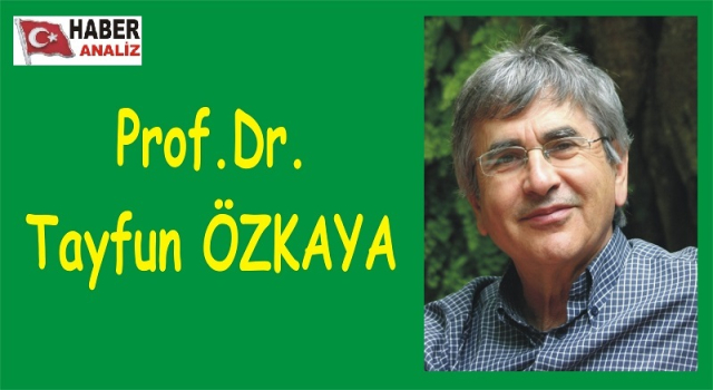 PROF.DR. TAYFUN ÖZKAYA UYARDI: ZEYTİNLİKLER YOK OLMADAN!!!