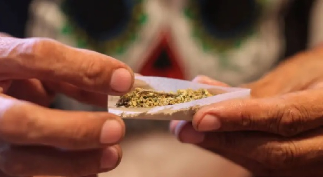 Almanya'da esrar kullanımı artıyor