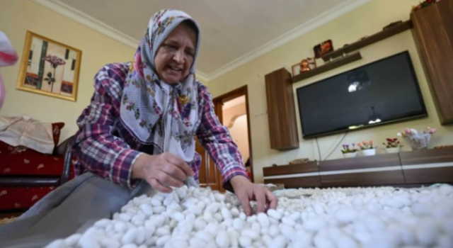 Devletten aldığı destekle hobisini gelir kapısına dönüştürdü! ‘Devlet yumurtasını gönderiyor biz sadece bakıyoruz'