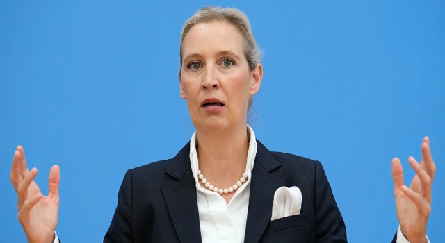 AfD'ye siber saldırı: E-posta hesapları hacklendi, 421.000'den fazla mesaj çalındı