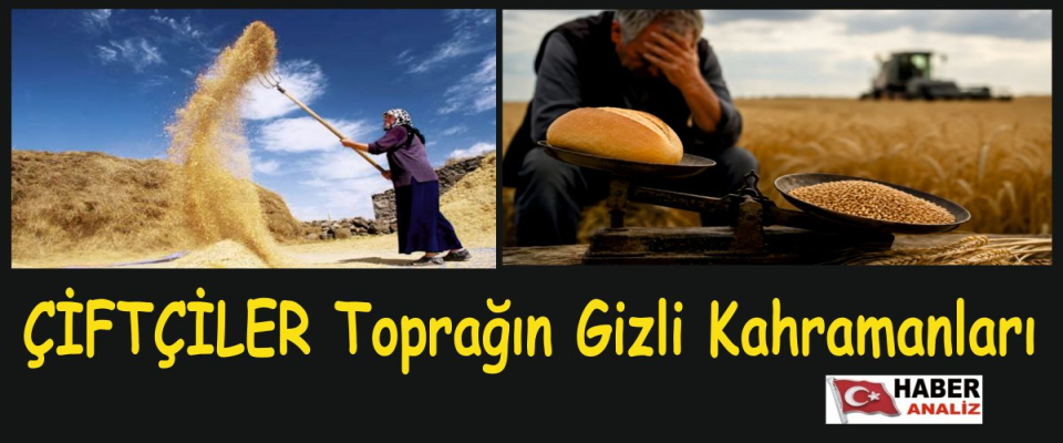 GAZETECİ YAZAR MUSTAFA GÖKTAŞ YAZDI: Toprağın Gizli Kahramanları: Çiftçimizin Çilesi, Üretimin Geleceği
