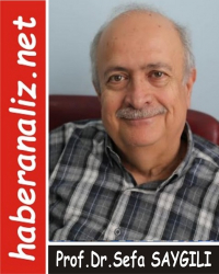 Prof.Dr.Sefa SAYGILI