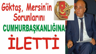 GÖKTAŞ, MERSİN'İN SORUNLARINI CUMHURBAŞKANLIĞINA İLETTİ