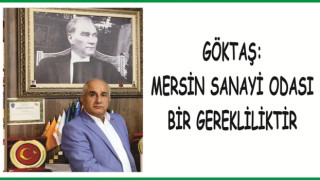 GÖKTAŞ: MERSİN SANAYİ ODASI BİR GEREKLİLİKTİR