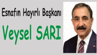 VEYSEL SARI GERÇEĞİ…