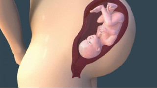 8 soruda yasadışı yumurta satışı: Yöntem riskli mi, mavi gözlü bebek siparişi mümkün mü?
