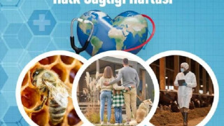 GAZETECİ YAZAR MUSTAFA GÖKTAŞ YAZDI: HALK SAĞLIĞI MESELESİ